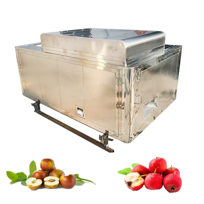 Seed Removing Processing Machine for Fruit Cherry Corer Pitting Olive Kernel Removing