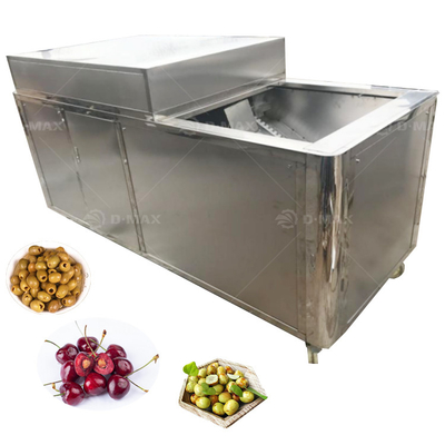 Seed Removing Processing Machine for Fruit Cherry Corer Pitting Olive Kernel Removing