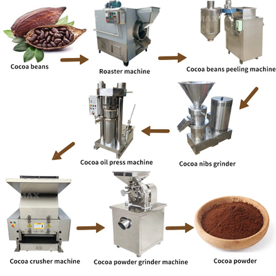 Fully Automatic Cocoa Processing Line for Cocoa Bean Processing Efficiently