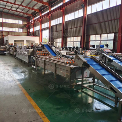 Vegetable Cleaning and Shredding Production Line Advanced Technology