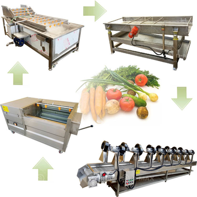 Industrial Vegetable Cleaning and Drying Processing Line with Advanced Bubble Technology