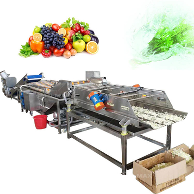 Industrial Vegetable Cleaning and Drying Processing Line with Advanced Bubble Technology