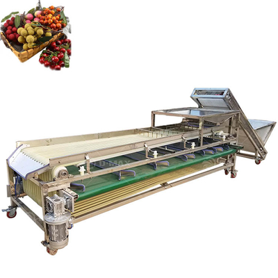 Multifunctional Orange Track Sorting Machine for Sorting Palm Jujube and Date Tomato