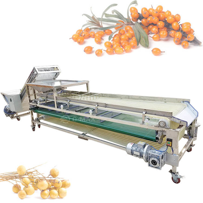 Multifunctional Orange Track Sorting Machine for Sorting Palm Jujube and Date Tomato