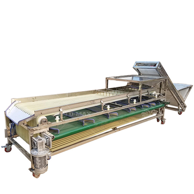 Good Performance Passion Fruit Grading Machine for Fruit Processing Requirements