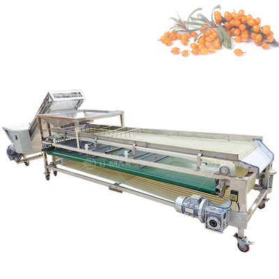 Good Performance Passion Fruit Grading Machine for Fruit Processing Requirements
