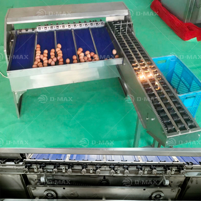 Egg Weight Sorting Machine Best Automatic Egg Classifier for Accurate Egg Grades Sorting