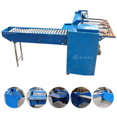 High Productivity Egg Weight Sorting Machine for Chicken Farm Improved Egg Processing