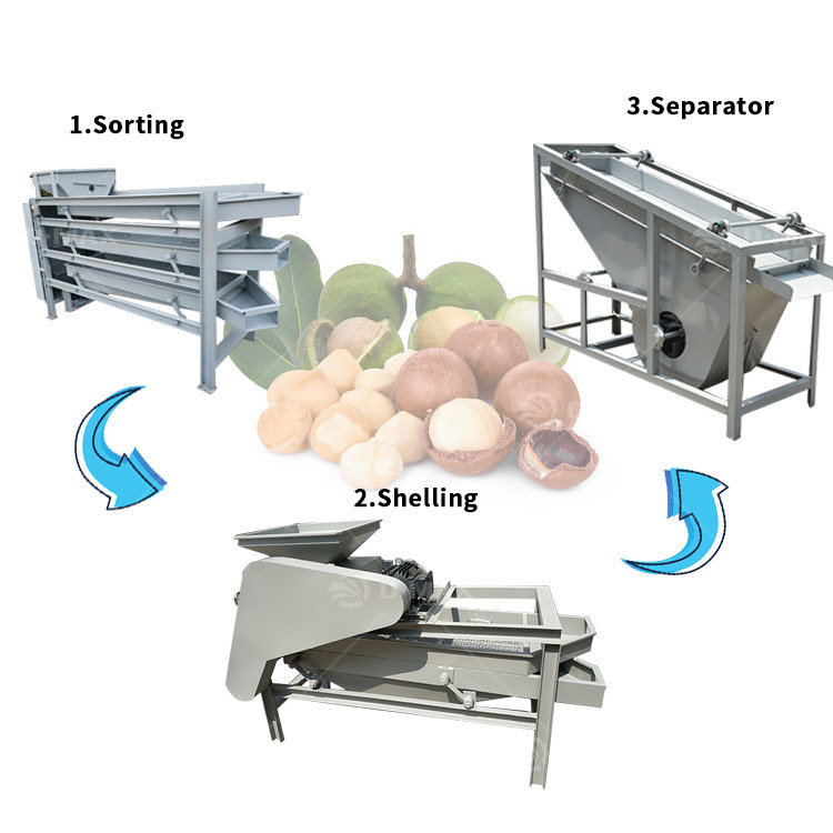 Nut Shelling Function Palm Kernel Cracker and Shell Separator for Hazelnut Almond