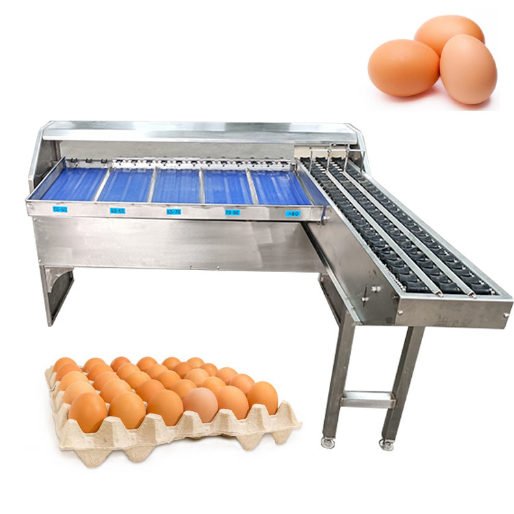 Egg Weight Sorting Machine Best Automatic Egg Classifier for Accurate Egg Grades Sorting