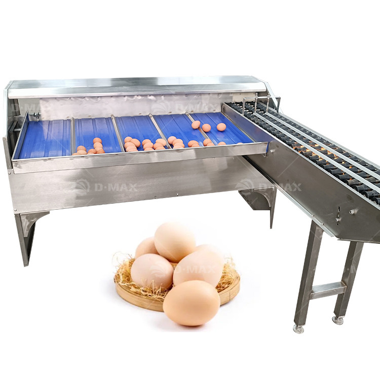 Accurate Egg Sorting Machine with 5400 Eggs/h Capacity and Easy Operation